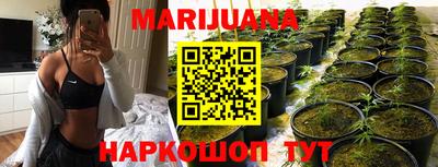 PSILOCYBIN Бугуруслан