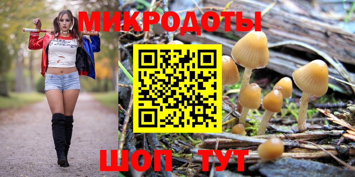 Фурманов  Галлюциногенные грибы мухоморы  Вход с VPN 