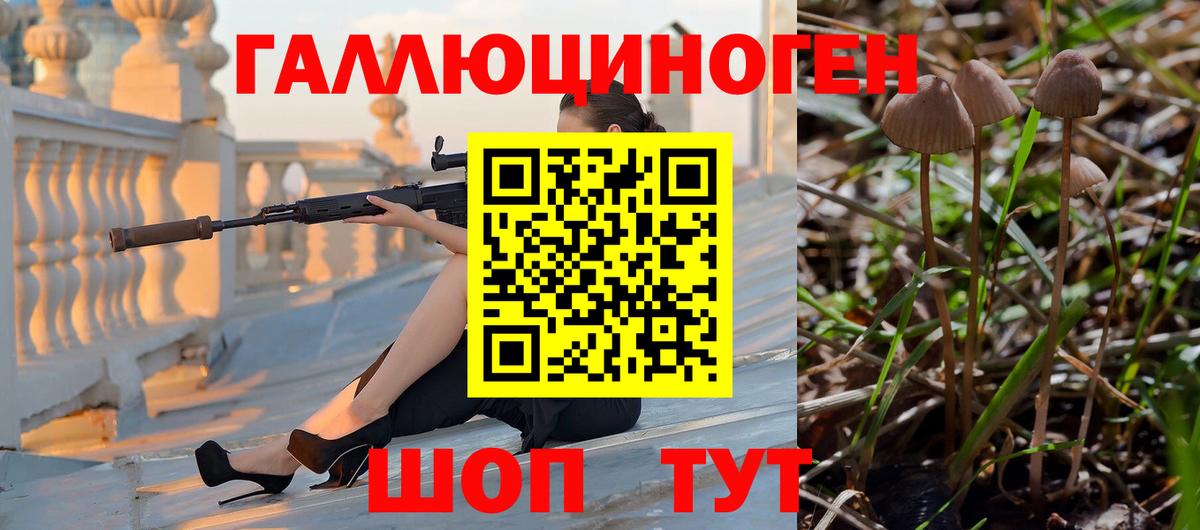 Псилоцибиновые грибы GOLDEN TEACHER Фурманов